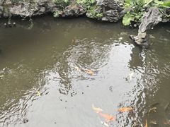 -东江渔村·古典园林·30年粤菜老字号(太和店)