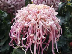 -上海市龙华烈士陵园