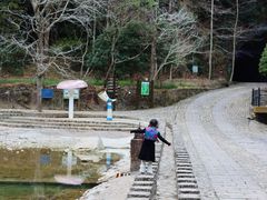 -龙湾潭国家森林公园