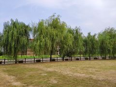 -鹅湖玫瑰文化园