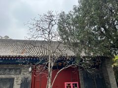 -万寿八仙宫