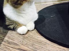 -小时光咖啡馆(开森度假森林店)