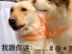 -7分甜(圆融广场店)