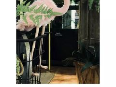 -花蒲甜品(海信广场店)