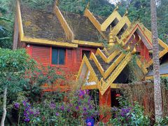 -西双版纳原始森林公园