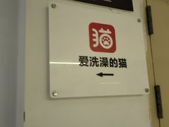 -爱洗澡的猫(望京店)