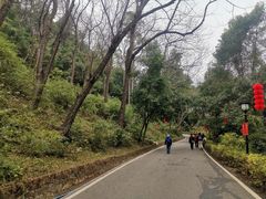 -三门江国家森林公园