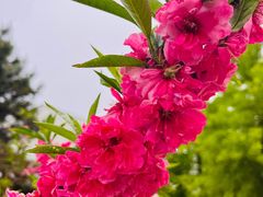 -朝阳公园
