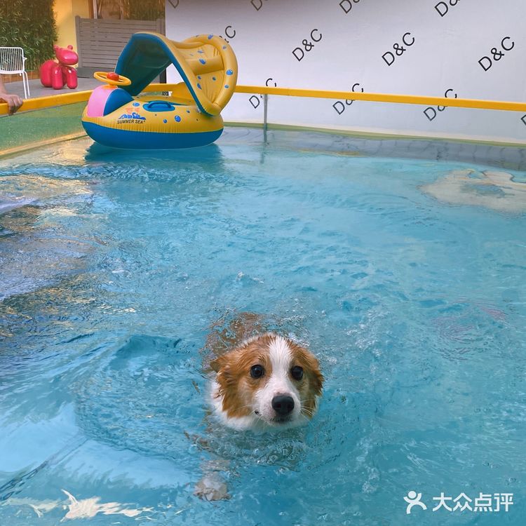 特别是新造了全透明的泳池