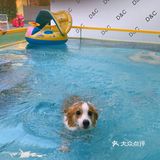 特别是新造了全透明的泳池