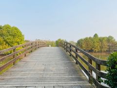 -上海海湾国家森林公园