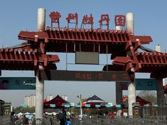 -曹州牡丹园