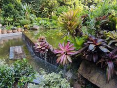 -深圳仙湖植物园
