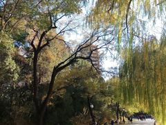 -北京大学-第一体育馆