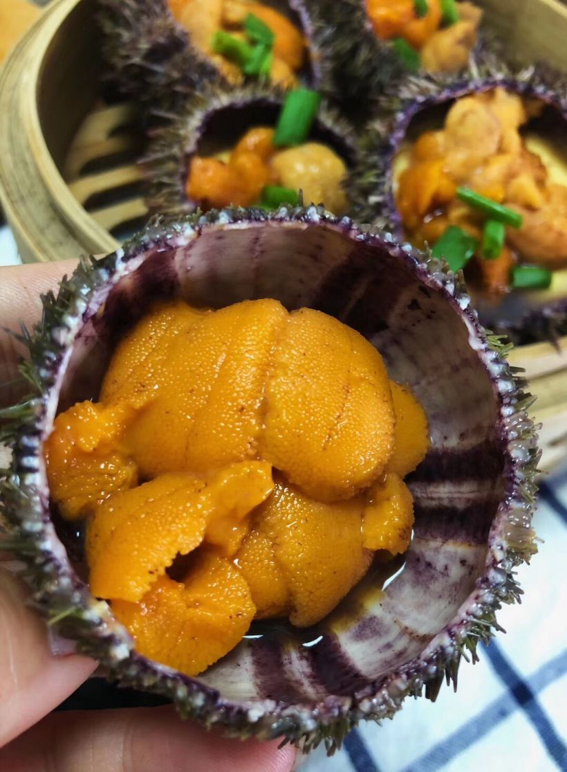 海胆料理在家也能自己做着吃!