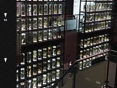 -广东中医药博物馆