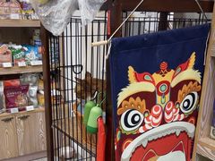 -四月宠物医院·猫专科·心脏专科·内科(转塘店)