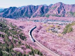 -居庸关长城