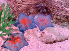 -沈阳海洋探索中心