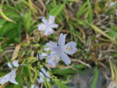 -广富林郊野公园