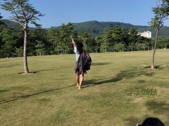 -大屏嶂森林公园