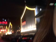 -九花山烤鸭店