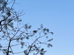 -府河摄影公园