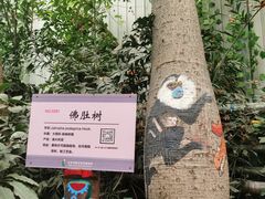 -呀路古热带植物园