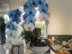 -BLUE HOUSE咖啡
