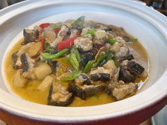 -印象鲵宴·张家界地标美食名片(溪布街店)