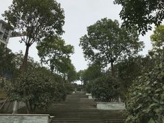 -铁山坪森林公园