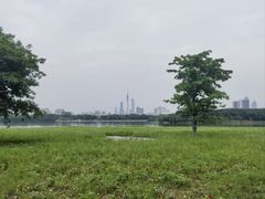 -海珠湖公园