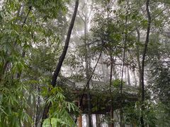 -中国大熊猫保护研究中心雅安碧峰峡基地