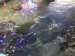 -鸿通城购物中心