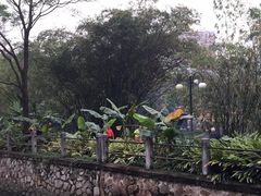 -晓港公园
