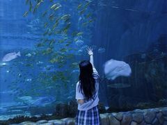 -华夏文旅海洋公园