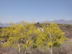 -白水寺森林公园