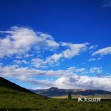 门源油菜花基地 一定看好季节去