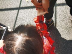 -东平国家森林公园