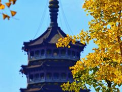 -高旻寺