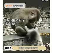 -昆明动物园
