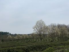 -凤凰沟景区