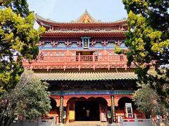 -中国翰园碑林
