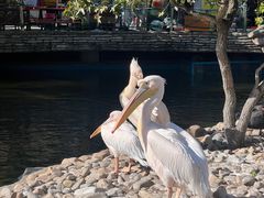 -大连老虎滩海洋公园