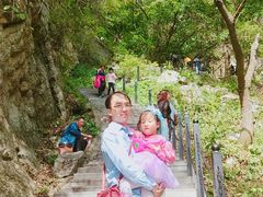 -王顺山国家森林公园