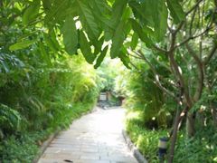 -厦门日月谷温泉渡假村