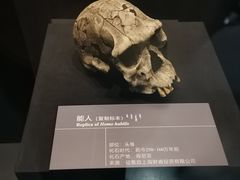 -呼和浩特博物馆