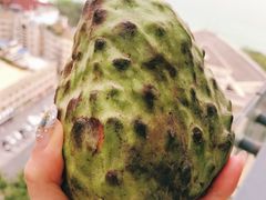 -三亚新鸿港水果一级批发市场
