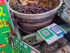 -马文章胖子甑糕(洒金桥店)