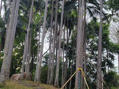 -人民公园(罗湖区)